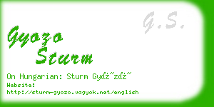 gyozo sturm business card